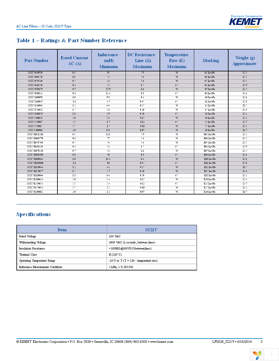 SS21V-R031380 Page 3