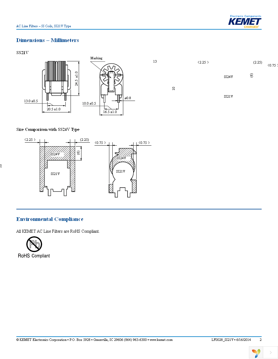 SS21V-250015 Page 2