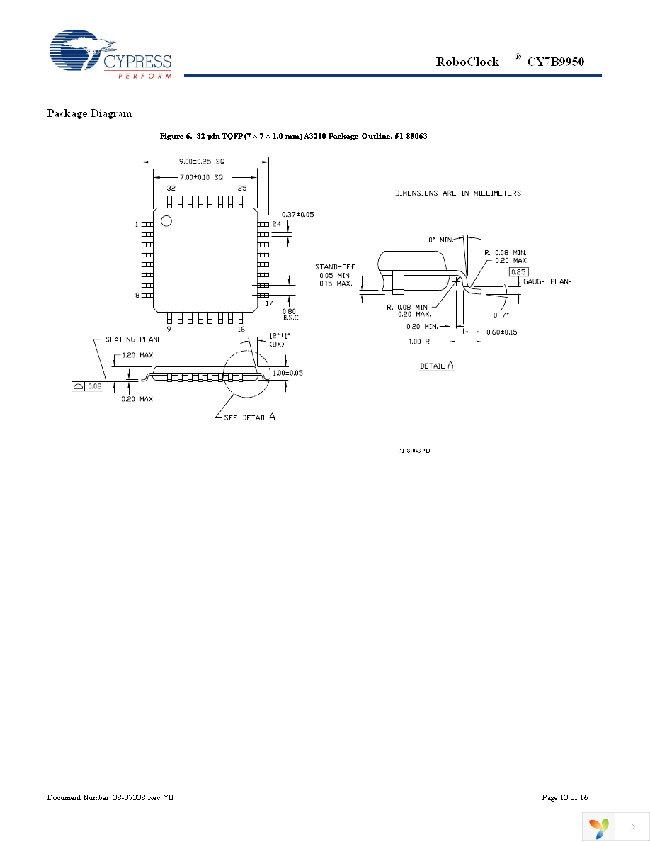 CY7B9950AXI Page 13