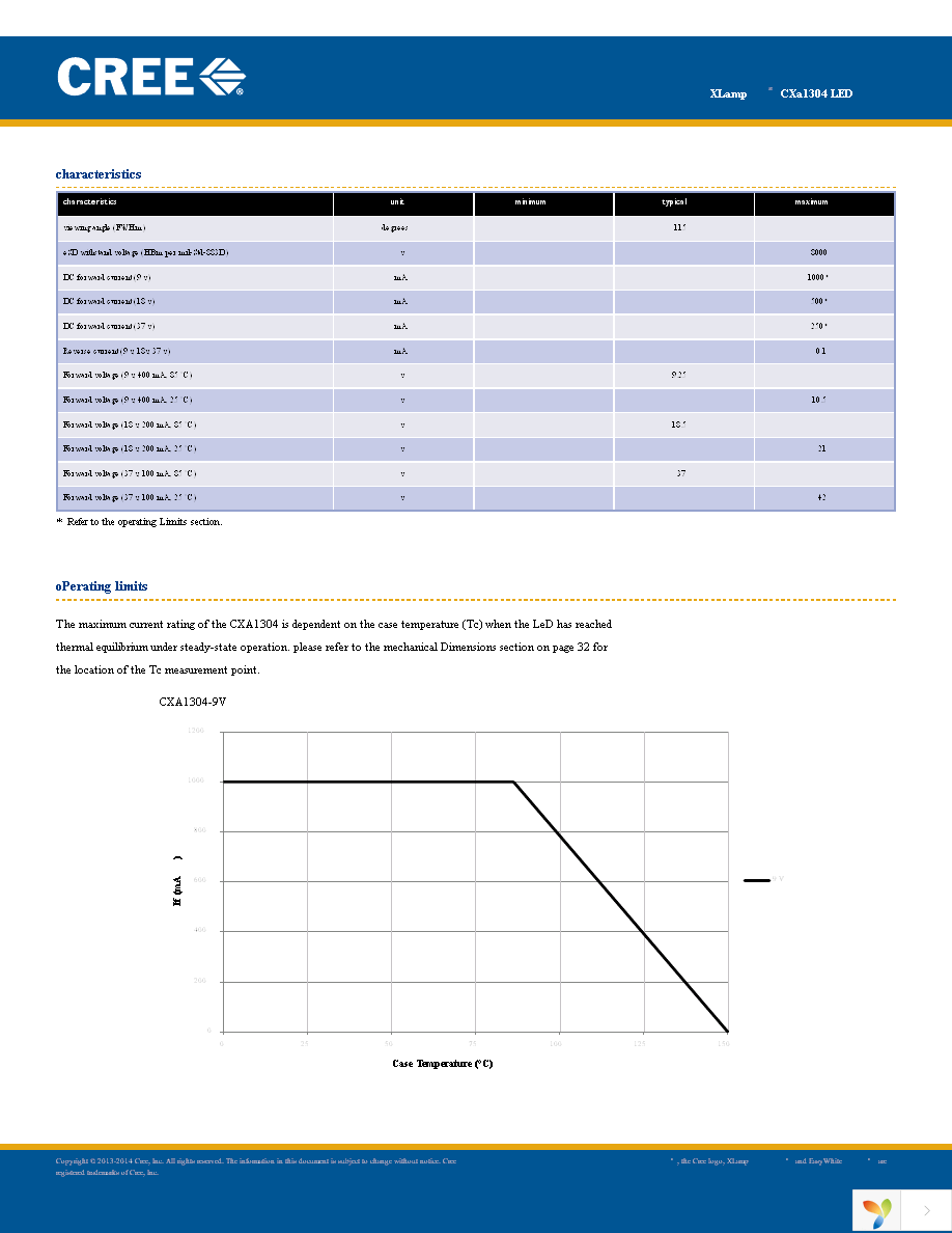 CXA1304-0000-000C00B40E3 Page 2