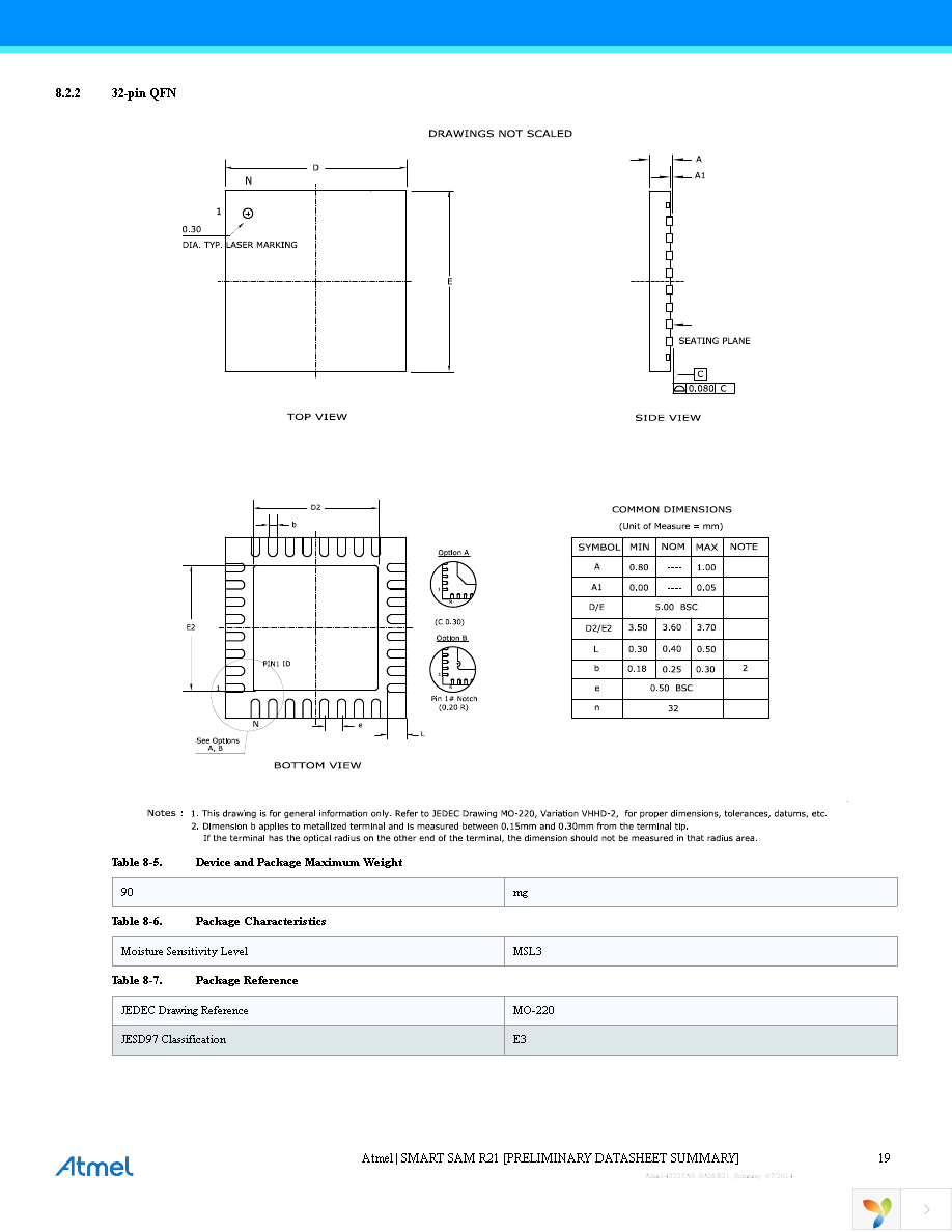 ATSAMR21G16A-MU Page 19