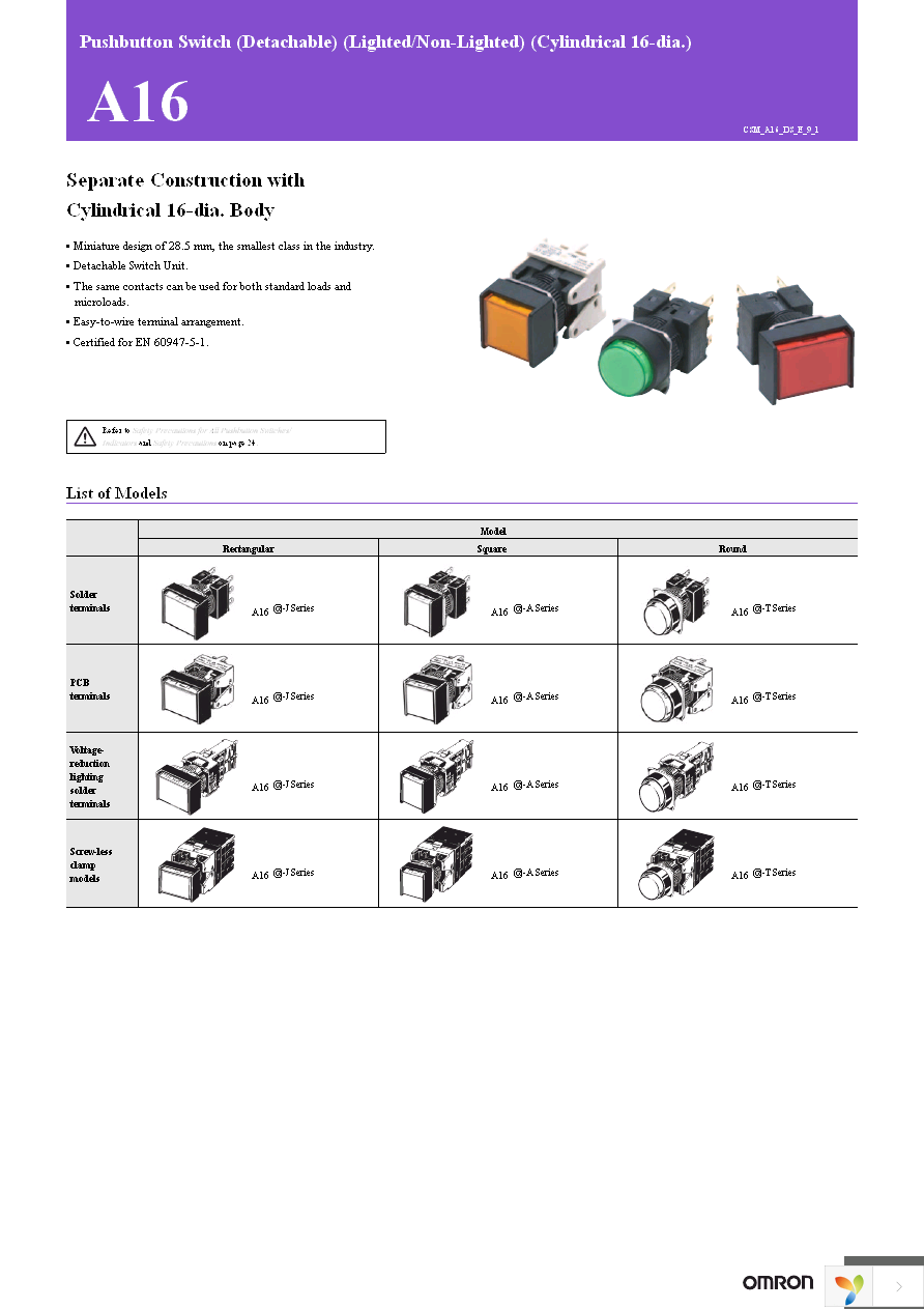 A16-24DSW Page 1