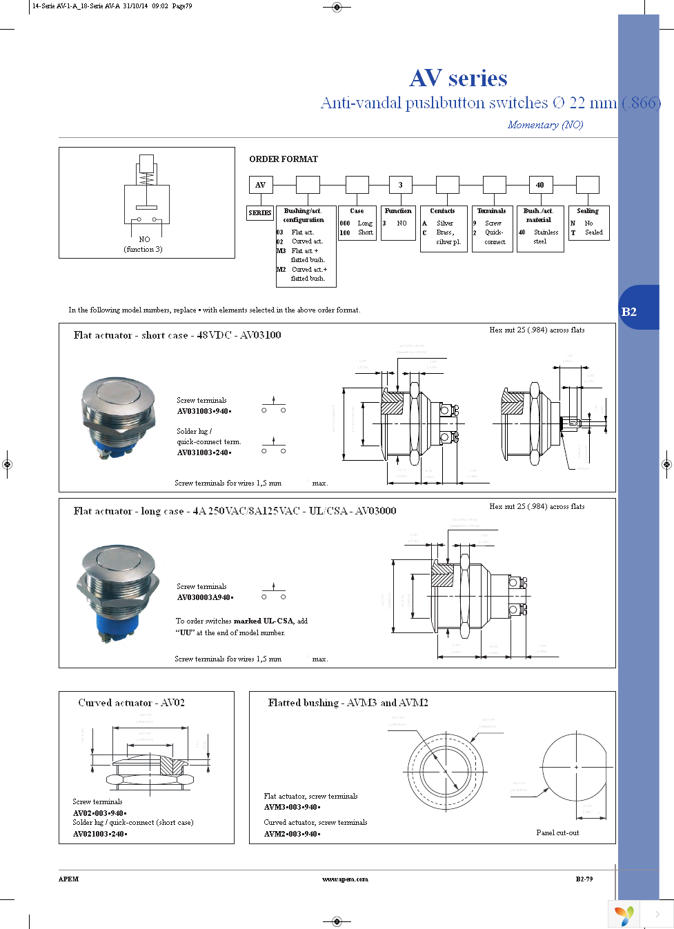 AV021003C910 Page 4