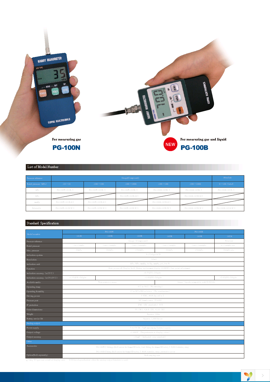 PG-100N-103R Page 2