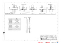 DBMS13W3P300 Page 2