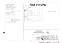 DBM25P300 Page 1