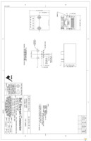 SS-641010-NF-K2 Page 1