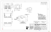 SS-668802S-A-FLS Page 1