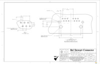 SS-666602S-A-NF Page 2