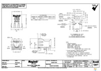 SI-60118-F Page 2