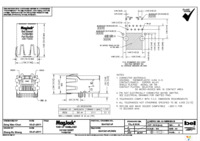 SI-51021-F Page 2