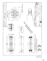 DF12(3.0)-80DP-0.5V(80) Page 2