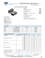 RS07B-GS18 Page 1