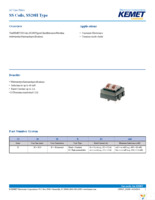 SS20H-R10100 Page 1