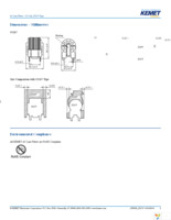 SS21V-R300013 Page 2