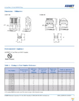 SS28V-20075-CH Page 2