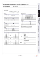 DSN9NC51H223Q55B Page 13