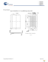 CYF2072V33L-100BGXI Page 28