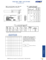 C1206N102K1GSL Page 10