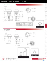 RP8200B2M1CEBLKBLKRED Page 2