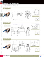 P197EESB Page 2