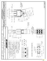 300DP1J1BLKVS2QE Page 1