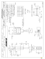 100SP3T1B4VS2RE Page 1