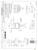 100AWSP1T2B4VS2RE Page 1