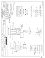 100DP3T2B4VS2RE Page 1