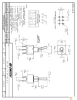 100DP1T1B4M2QE Page 1