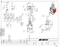 100SP2T2B1M6REH Page 1