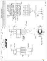 100SP1T7B13M2REH Page 1