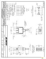 100AWSP1T2B4VS2QE Page 1