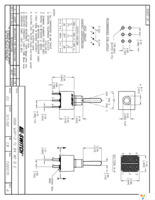 100AWDP3T1B4M2QE Page 1