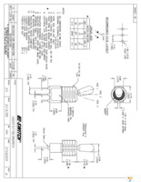 100SP3T7B13M2REH Page 1