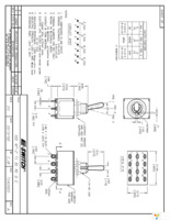 1004P2T1B1M1QE Page 1