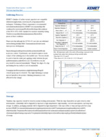 T495X107M010ATE100 Page 20