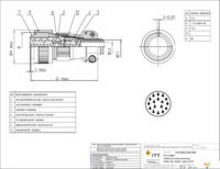 CA3106E20-29SA206 Page 1