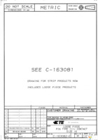 737095-1 Page 1