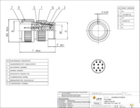 CA3106F18-1PF80F0 Page 1